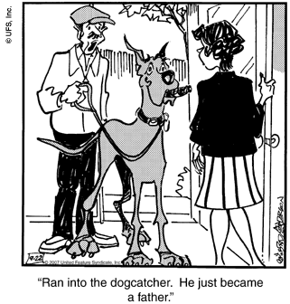 marmaduke